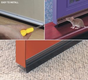 DOORSEAL (SAS)